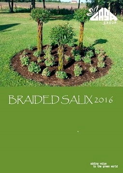 Catalogo