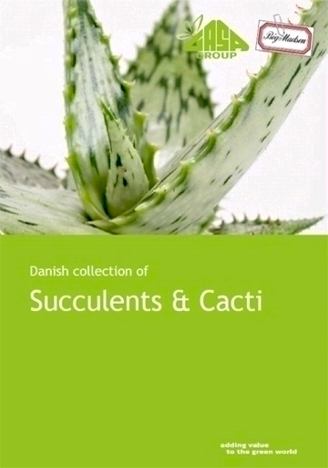 Catalogo