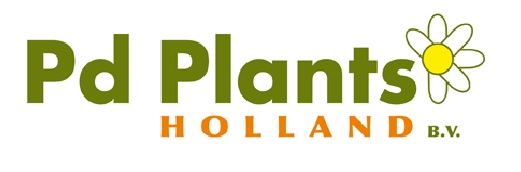 PD PLANTS HOLLAND B.V.